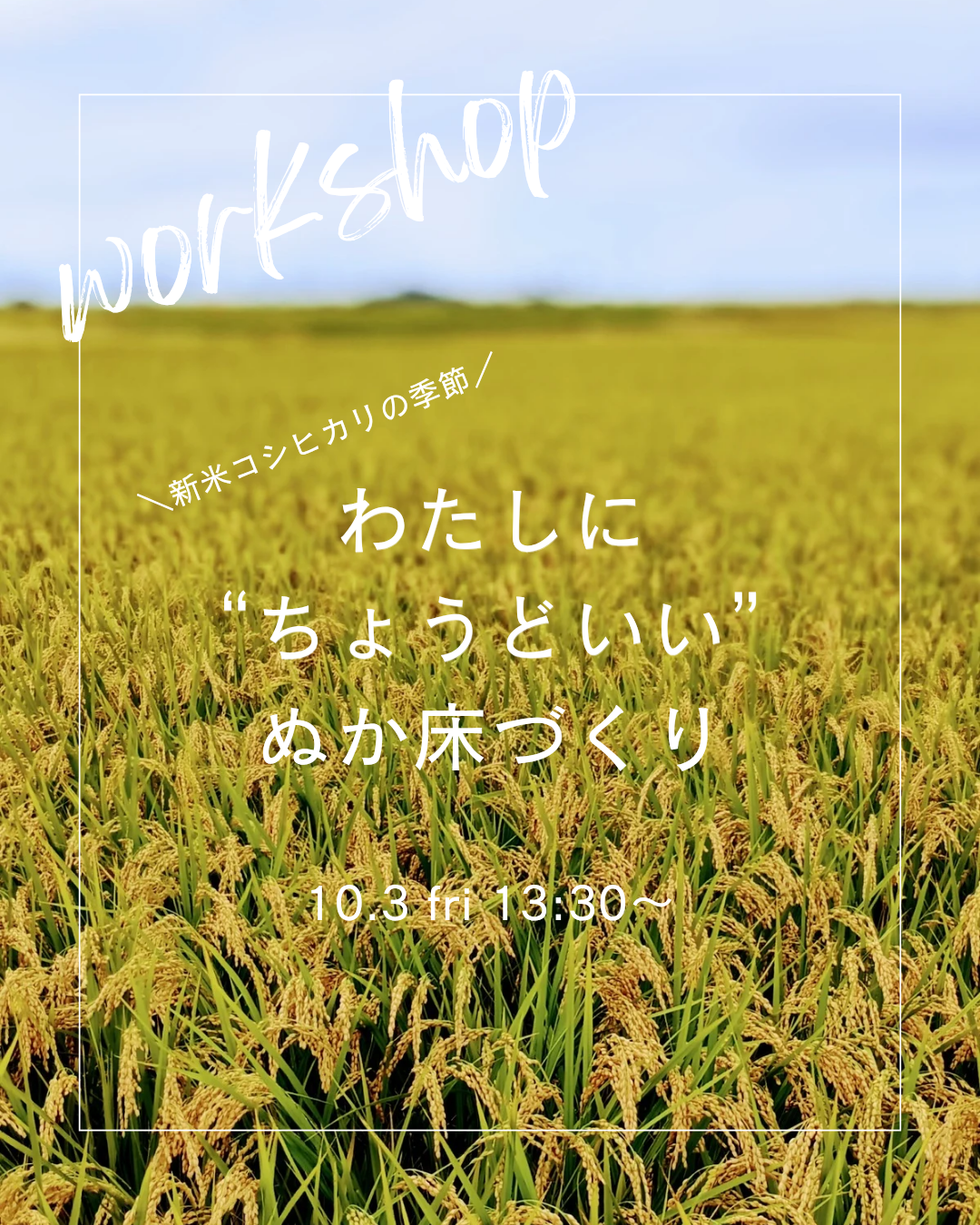 １０月  ワークショップのおしらせ